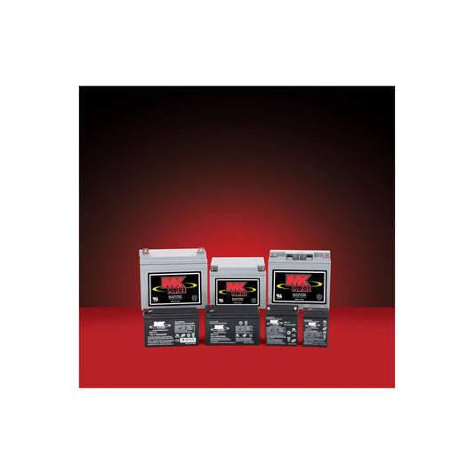 12 Volt 100 Amp Battery (12V100AH)
